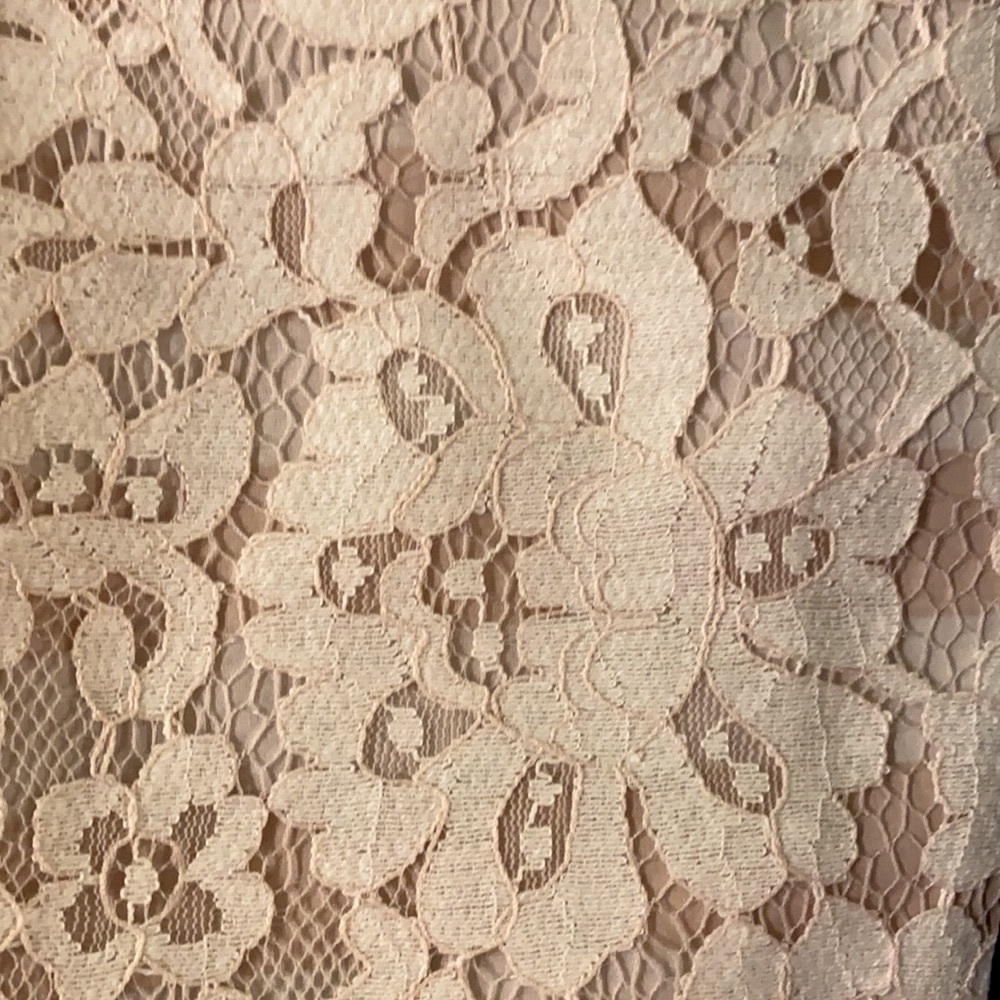 2 Anthropologie Cartonnier Lace Shorts -2 PAIR! - Picture 3 of 9